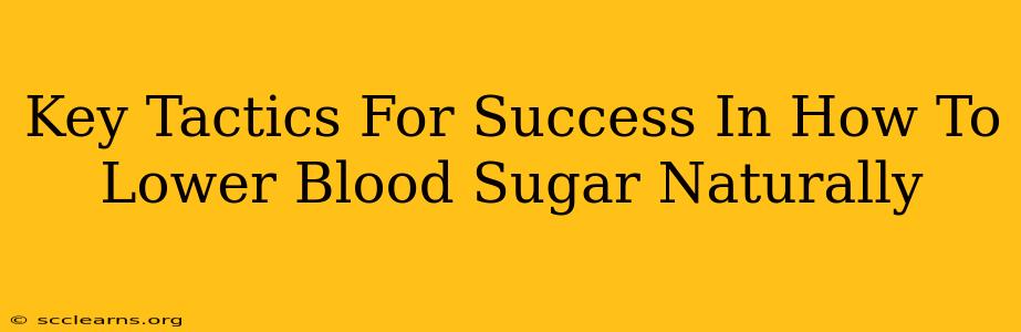 Key Tactics For Success In How To Lower Blood Sugar Naturally