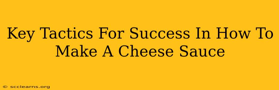 Key Tactics For Success In How To Make A Cheese Sauce