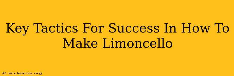 Key Tactics For Success In How To Make Limoncello