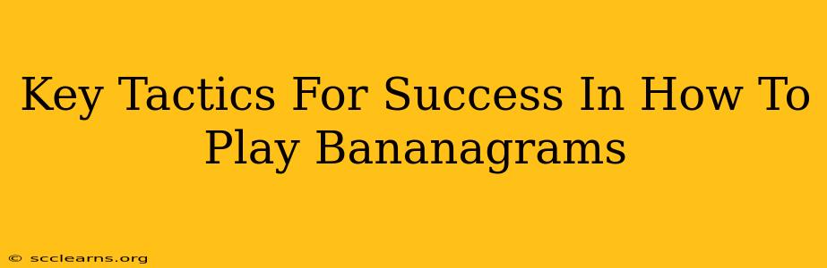 Key Tactics For Success In How To Play Bananagrams