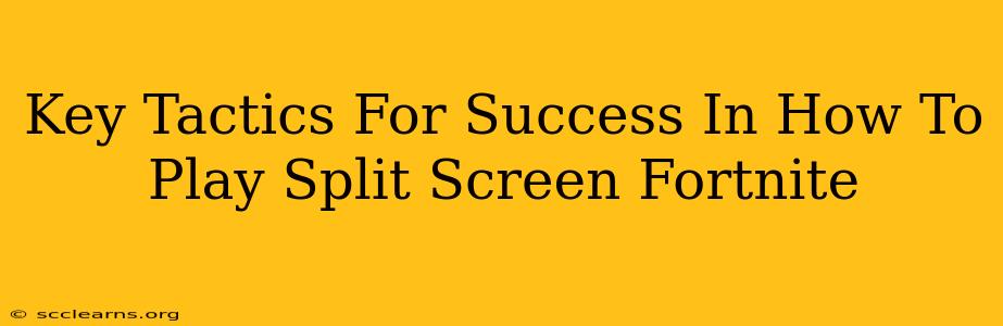 Key Tactics For Success In How To Play Split Screen Fortnite