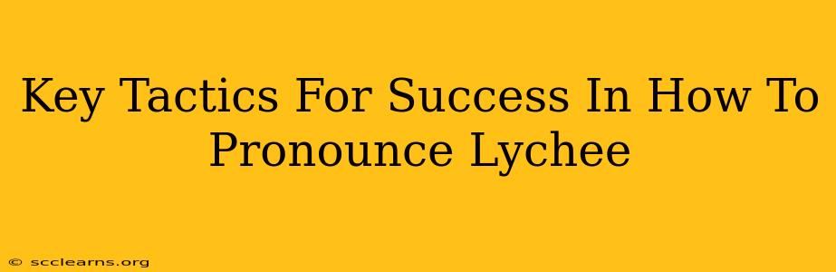 Key Tactics For Success In How To Pronounce Lychee