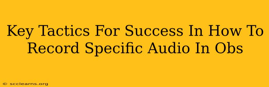 Key Tactics For Success In How To Record Specific Audio In Obs