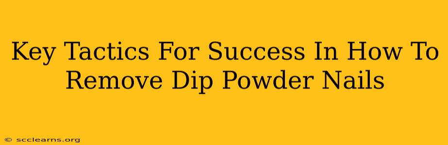 Key Tactics For Success In How To Remove Dip Powder Nails