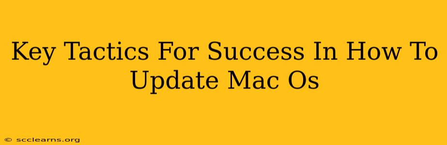 Key Tactics For Success In How To Update Mac Os