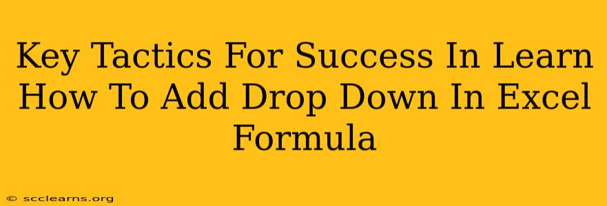 Key Tactics For Success In Learn How To Add Drop Down In Excel Formula