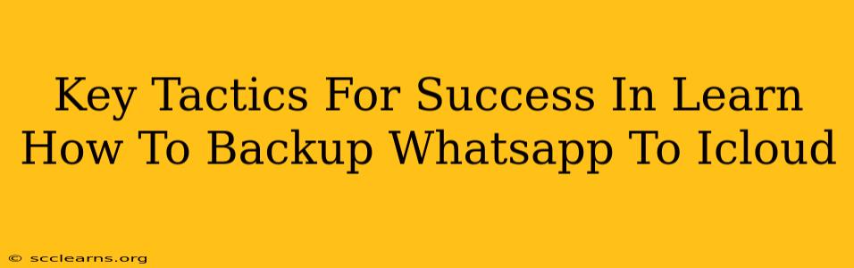 Key Tactics For Success In Learn How To Backup Whatsapp To Icloud