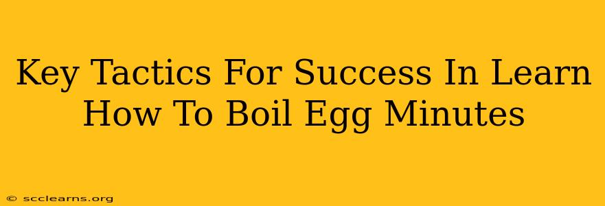 Key Tactics For Success In Learn How To Boil Egg Minutes