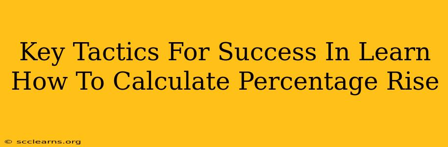 Key Tactics For Success In Learn How To Calculate Percentage Rise