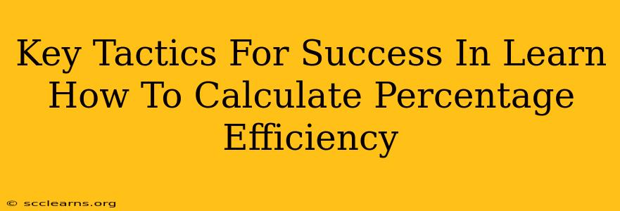 Key Tactics For Success In Learn How To Calculate Percentage Efficiency