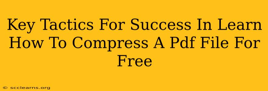 Key Tactics For Success In Learn How To Compress A Pdf File For Free