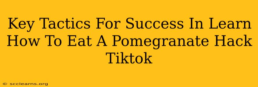 Key Tactics For Success In Learn How To Eat A Pomegranate Hack Tiktok