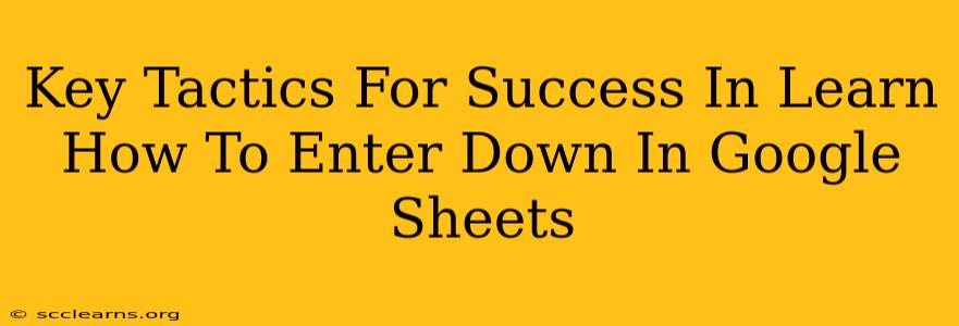 Key Tactics For Success In Learn How To Enter Down In Google Sheets