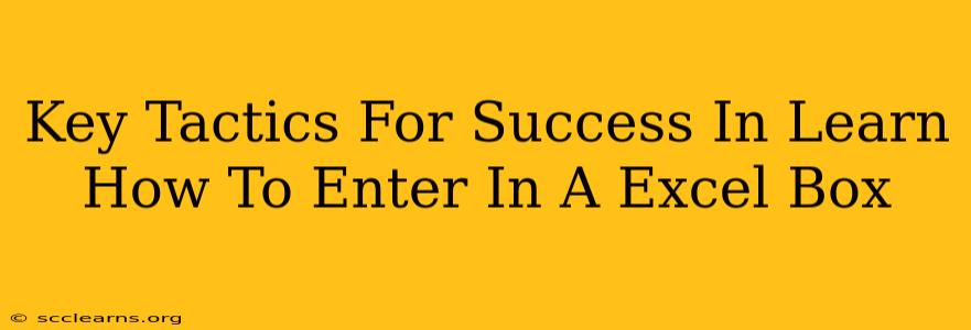 Key Tactics For Success In Learn How To Enter In A Excel Box