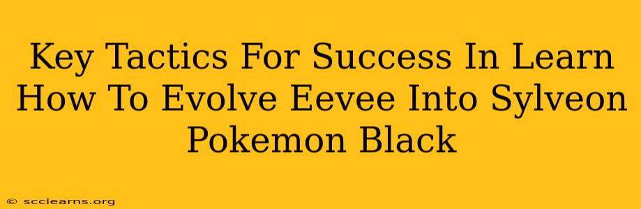 Key Tactics For Success In Learn How To Evolve Eevee Into Sylveon Pokemon Black