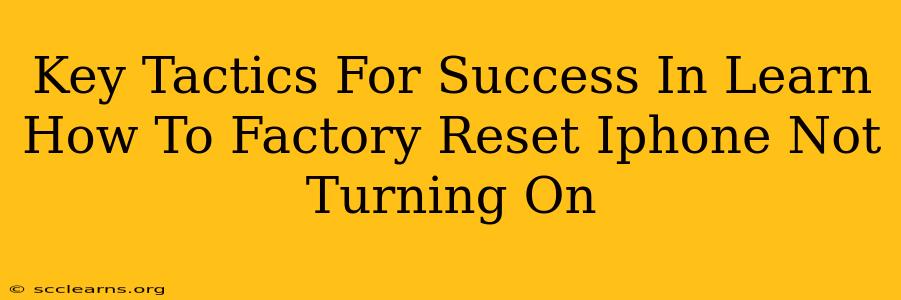 Key Tactics For Success In Learn How To Factory Reset Iphone Not Turning On