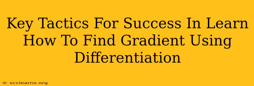 Key Tactics For Success In Learn How To Find Gradient Using Differentiation