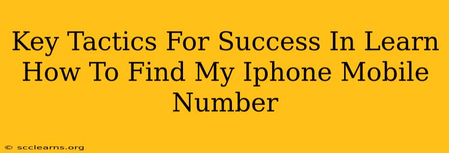 Key Tactics For Success In Learn How To Find My Iphone Mobile Number