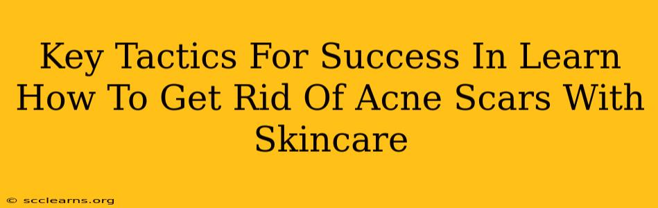 Key Tactics For Success In Learn How To Get Rid Of Acne Scars With Skincare