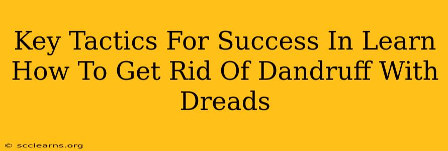 Key Tactics For Success In Learn How To Get Rid Of Dandruff With Dreads