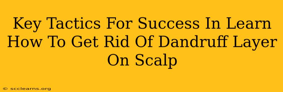 Key Tactics For Success In Learn How To Get Rid Of Dandruff Layer On Scalp