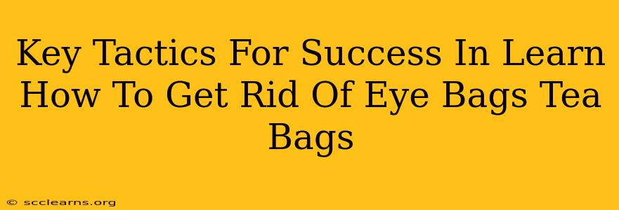 Key Tactics For Success In Learn How To Get Rid Of Eye Bags Tea Bags