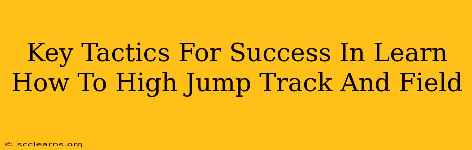 Key Tactics For Success In Learn How To High Jump Track And Field