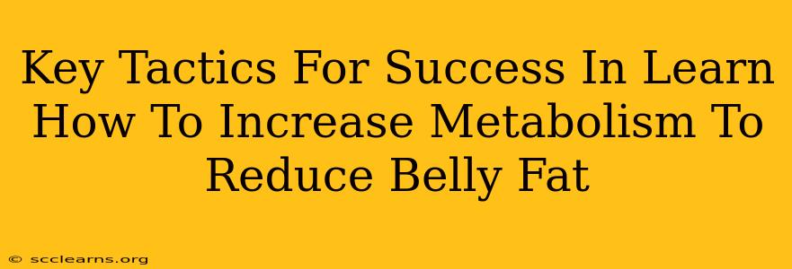 Key Tactics For Success In Learn How To Increase Metabolism To Reduce Belly Fat