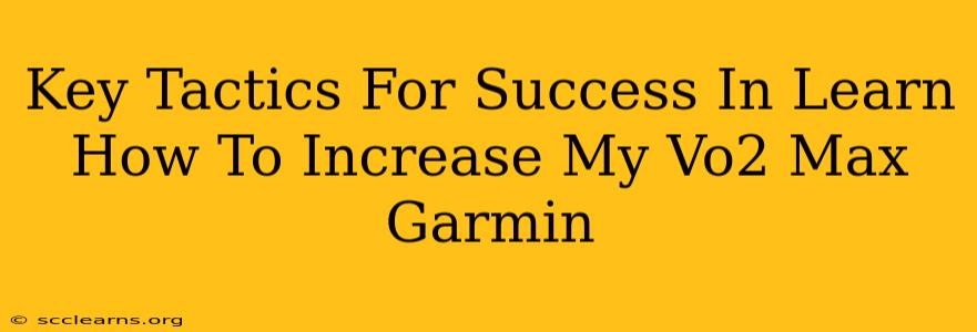 Key Tactics For Success In Learn How To Increase My Vo2 Max Garmin