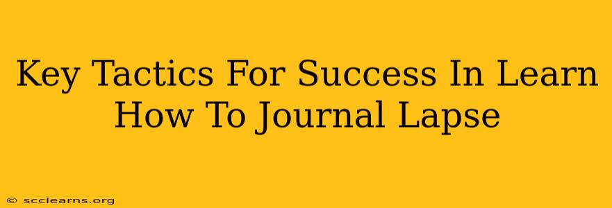 Key Tactics For Success In Learn How To Journal Lapse