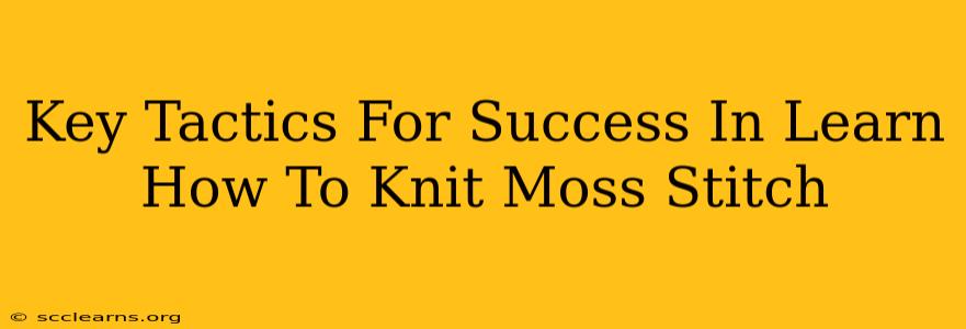 Key Tactics For Success In Learn How To Knit Moss Stitch