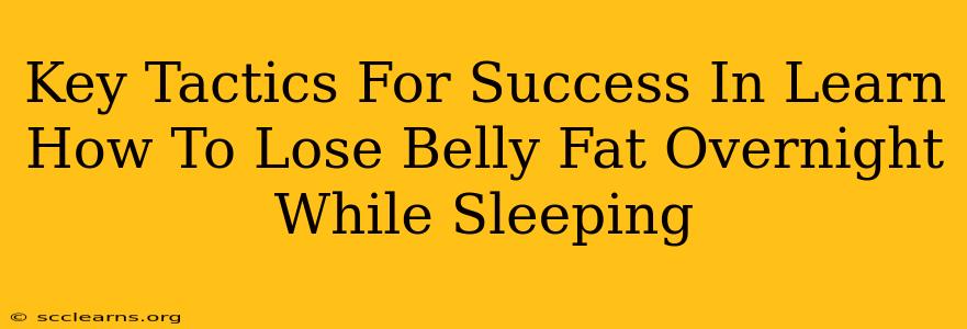 Key Tactics For Success In Learn How To Lose Belly Fat Overnight While Sleeping