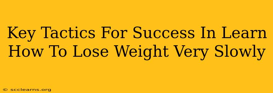 Key Tactics For Success In Learn How To Lose Weight Very Slowly