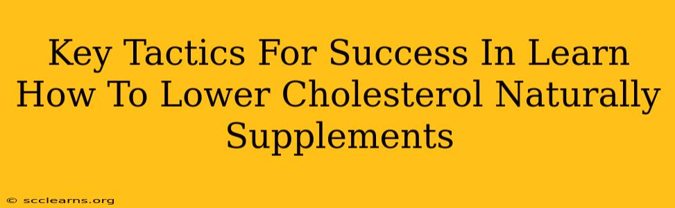 Key Tactics For Success In Learn How To Lower Cholesterol Naturally Supplements