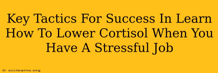 Key Tactics For Success In Learn How To Lower Cortisol When You Have A Stressful Job