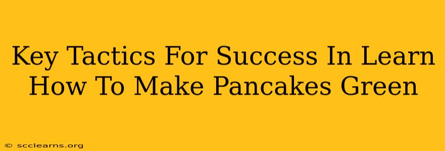 Key Tactics For Success In Learn How To Make Pancakes Green