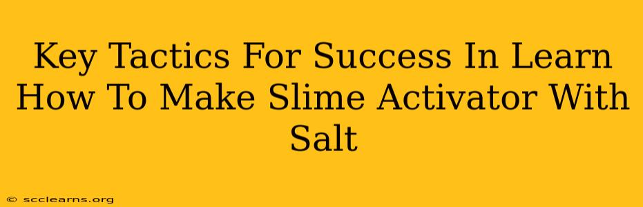 Key Tactics For Success In Learn How To Make Slime Activator With Salt