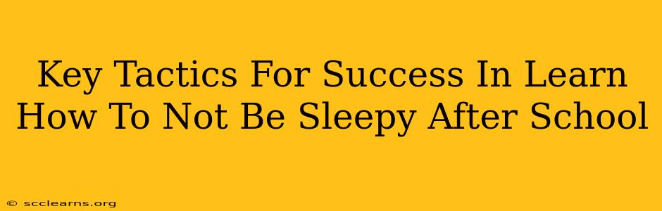 Key Tactics For Success In Learn How To Not Be Sleepy After School