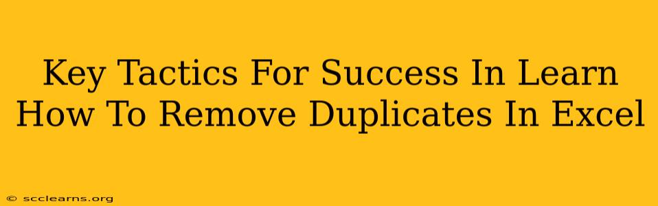 Key Tactics For Success In Learn How To Remove Duplicates In Excel