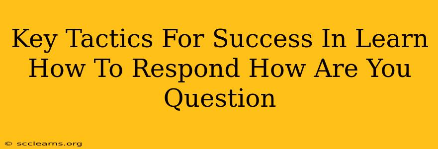 Key Tactics For Success In Learn How To Respond How Are You Question