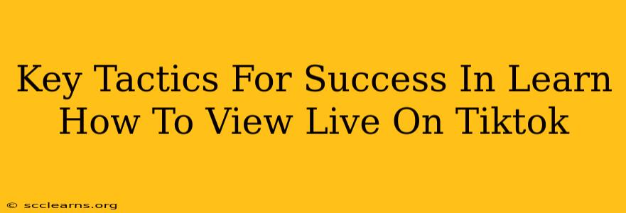 Key Tactics For Success In Learn How To View Live On Tiktok