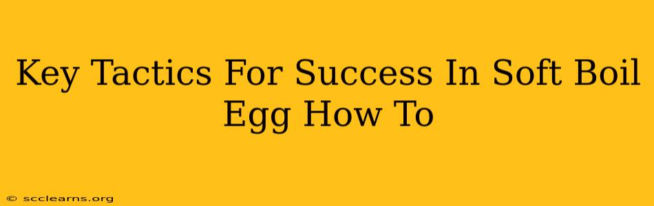 Key Tactics For Success In Soft Boil Egg How To