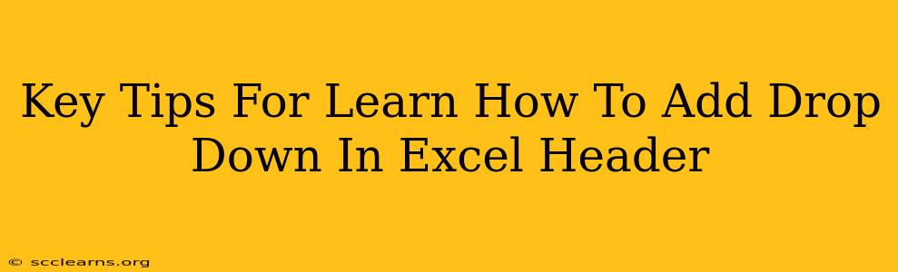 Key Tips For Learn How To Add Drop Down In Excel Header