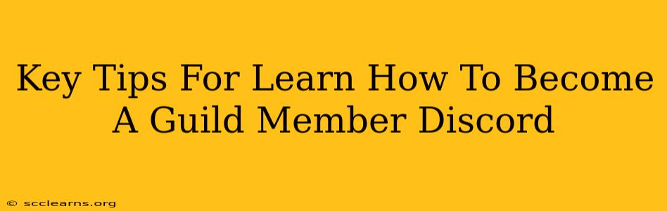 Key Tips For Learn How To Become A Guild Member Discord