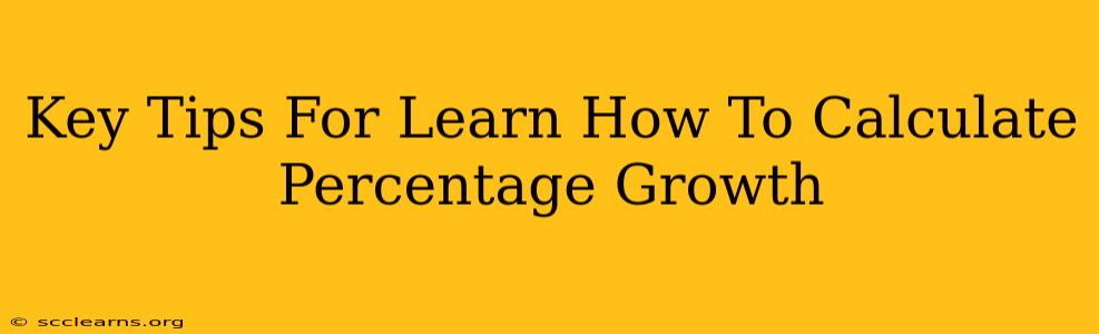 Key Tips For Learn How To Calculate Percentage Growth