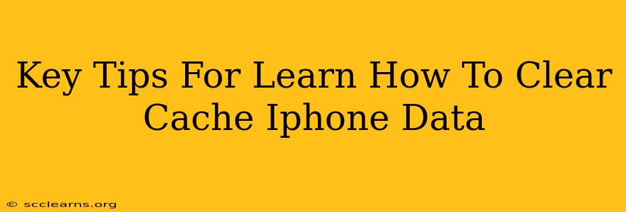 Key Tips For Learn How To Clear Cache Iphone Data