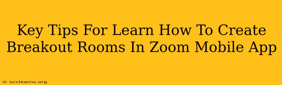 Key Tips For Learn How To Create Breakout Rooms In Zoom Mobile App