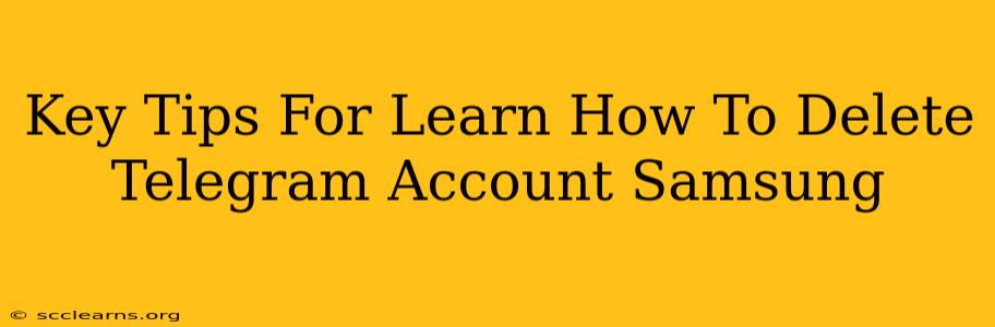 Key Tips For Learn How To Delete Telegram Account Samsung