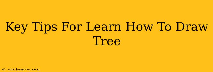 Key Tips For Learn How To Draw Tree