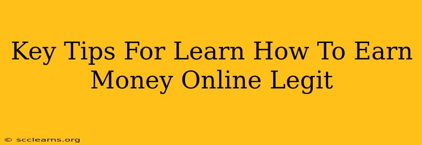 Key Tips For Learn How To Earn Money Online Legit